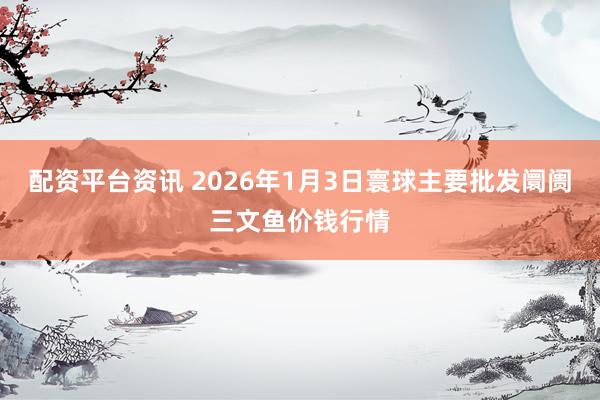 配资平台资讯 2026年1月3日寰球主要批发阛阓三文鱼价钱行情